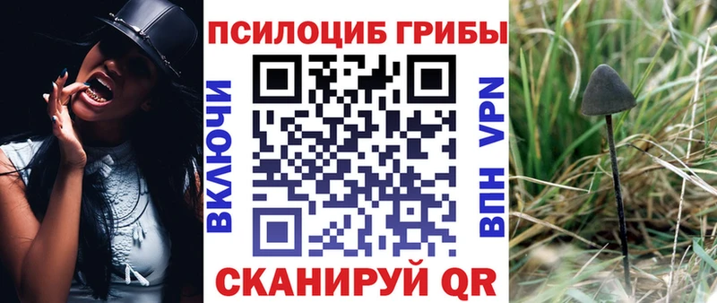 Галлюциногенные грибы Cubensis  ОМГ ОМГ   Бологое 