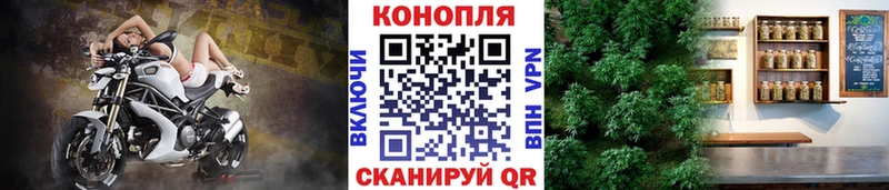 Конопля AK-47 Бологое